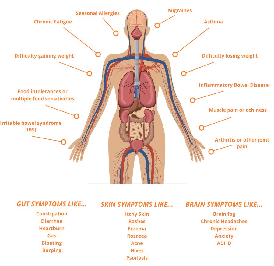Leaky Gut Body Symptoms