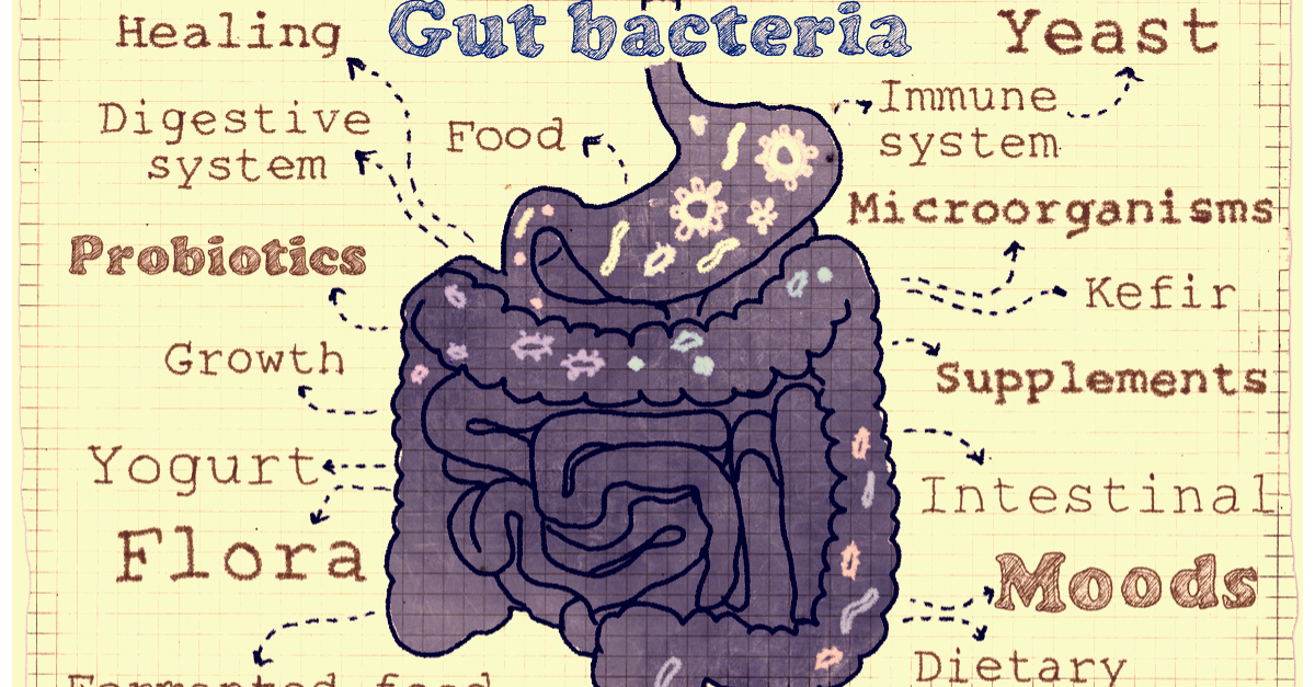 Gut Health Map of Issues