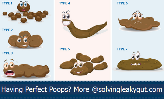 Poop Infographic