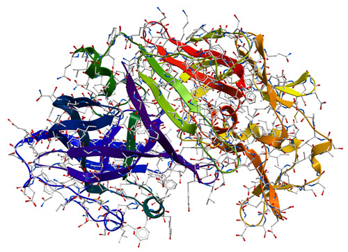 protein-3d-structure