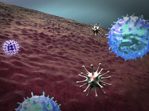 immune system virus