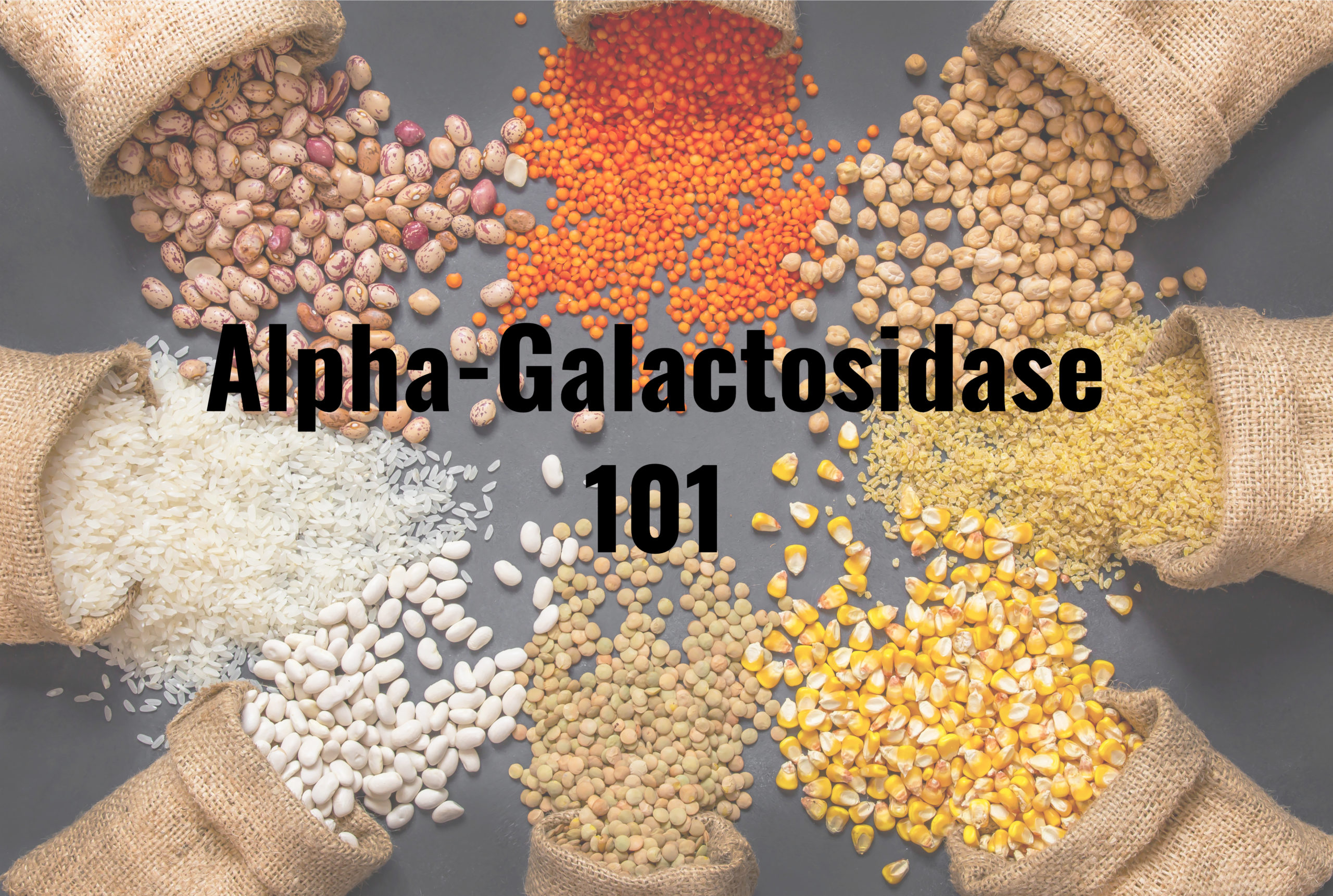 Alpha-Galactosidase 101. Everything you wanted to know about this digestive enzyme and more.